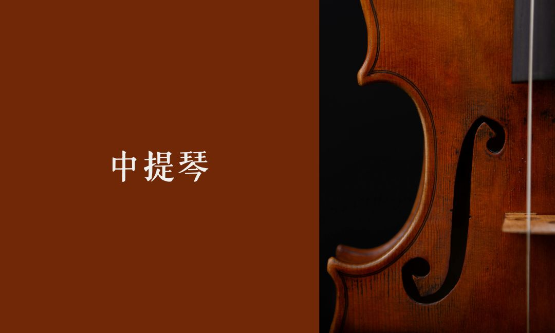 中提琴